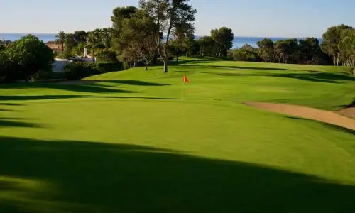 golf course golf course